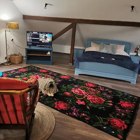 Yellow House Guest house *